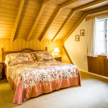 Hotel Stelter Сан-Бенту-ду-Сул Экстерьер фото